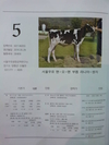 ‘삼손목장’ 홀스타인경진대회...1천15만원 최고가 낙찰!