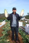 아시아종묘 ‘동하무’ 수확현장을 찾아서…