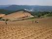 ‘안반데기’ 고랭지배추 채소단지 가뭄 걱정 끝