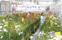 국산 품종 보급률 50% 넘긴 절화류(?)