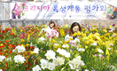 국산 품종 보급률 50% 넘긴 절화류(?)