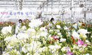 국산 품종 보급률 50% 넘긴 절화류(?)