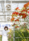 국산 품종 보급률 50% 넘긴 절화류(?)