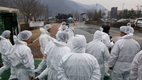 구제역 발생 '가축시장폐쇄'…방역당국 '초비상’