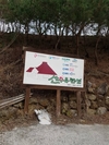 '지리산과 하나되기' 크림꿀 제조특허기술 이전 명품화