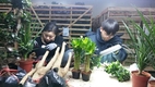 농림축산검역본부 ‘특별검역기간’ 3월27일~4월28일(1개월간) 운영