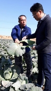 순천대 GSP원예종자사업단 김회택 교수