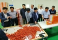 농협, 맞춤형 현장컨설팅으로 산지유통 혁신 앞장!