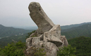 산림청, 국가산림문화자산 4건 신규 지정