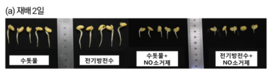 식품연구원, 전기방전수 이용 고품질 콩나물 재배기술 개발