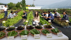 농진청, 환경 살리는 한국형 순환식 수경재배 시스템 개발