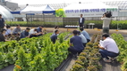 농진청, 환경 살리는 한국형 순환식 수경재배 시스템 개발