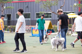 농촌진흥청, 반려동물 천만 시대 맞춤형 연구 시작