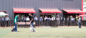직격인터뷰....최유림 국립축산과학원 축산생명환경부장