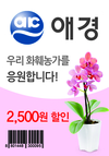 농협‧농식품부, 화훼시장 꽃 소비 활성화에 매진
