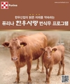 한우협회,제6회 전북 ‘미경산’ 한우품평회