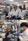 한국형 '구제역 백신주' 개발 시스템 구축
