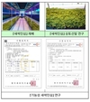 인삼 신품종 '금원' 인삼산업 활성화 기대