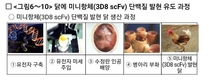 가축질병 AI 잡는 단백질 개발... 축산과학 ‘쾌거’
