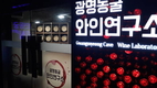 농진청, 국산 포도품종 ‘청수’... 세계 와인 입맛 끌어 당긴다
