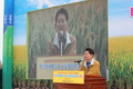 농협-농진청 '벼 직파재배' 생산비 절감에 크게 기여