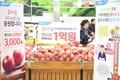 '농협-홈앤쇼핑' 햇사과 상생마케팅