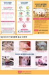 '아프리카돼지열병' 국내 유입입을 막아라!