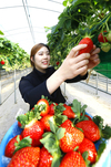 농어업 3대 핵심법안 야당 적극 협조해야