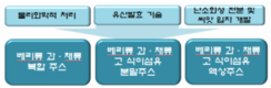난소화성 전분 나노입자화 개발 성공