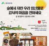 푸른장터에서 명절 임산물 선물 준비