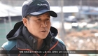 카길 뉴트리나 초이스 큐브1000