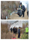 전국 ‘나무시장’ 26일부터 개장