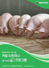 카길 뉴트리나 23지구 양돈 대군사양가 세미나