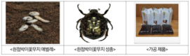 식용곤충 현장포럼... 안전사육·생산비절감 방안 나와