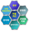 봉독으로 반려동물 피부질환 잡는다