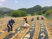 농협상호금융 ‘또 하나의 마을’ 돕기 