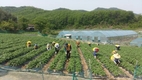 농협상호금융 ‘또 하나의 마을’에 일손 나눠
