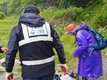 산림청, 모집산행 통한 산나물·산약초 불법채취 단속