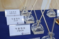 ‘구상나무’ 피부미백·주름개선에 탁월(?)