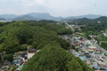 ‘과수화상병’ 확산 차단 