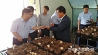 산림조합, 표고톱밥배지센터 운영 활성화를 위한 간담회 개최