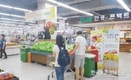 신품종 여름사과 국산 ‘썸머킹’ 본격 출하