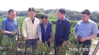 농협, 폭염·가뭄 피해극복 위한 농업인 현장지원 활동 