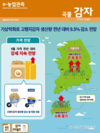 농경연 KREI'고랭지감자' 생산량 전년대비 9.5% 감소 전망