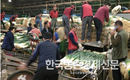 가락시장 '대파' 포장 및 하차거래 시행