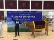 농협 안성팜랜드에서 성료, 유전체 정보 활용으로 대한민국 최고 한우 선발!