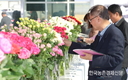 소비 시장에서 인기 많은 국산 장미 한 자리에