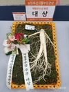 '인삼대축제'...햇수삼 직거래 '줄을 서시오!'