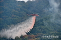 '산불' 재난대응 지상·공중 '합동훈련'