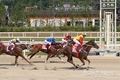 말산업 연구 국제심포지엄 개최